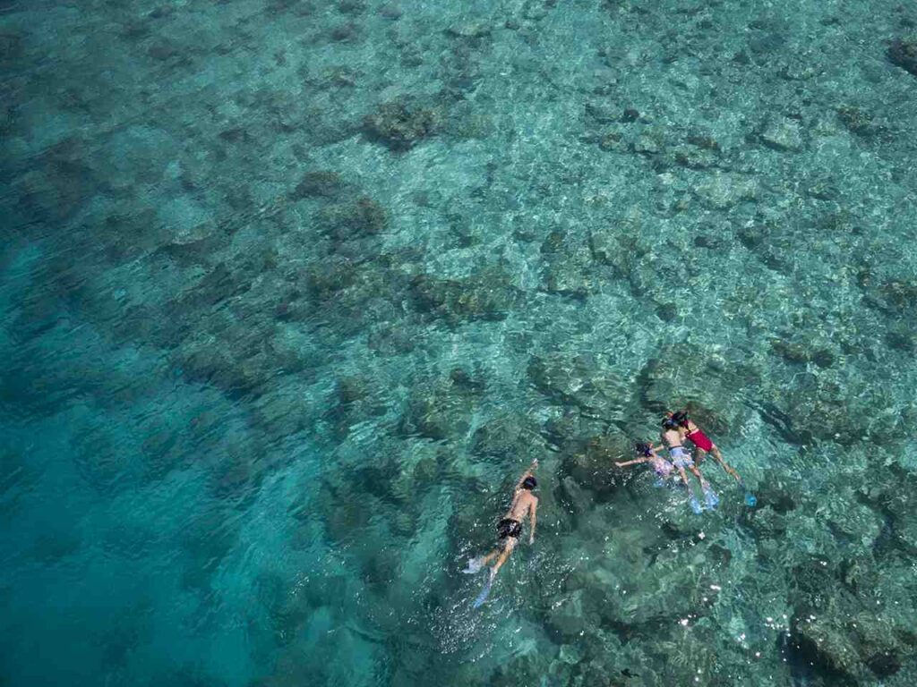 Anantara Dhigu Maldives Resort snorkeling