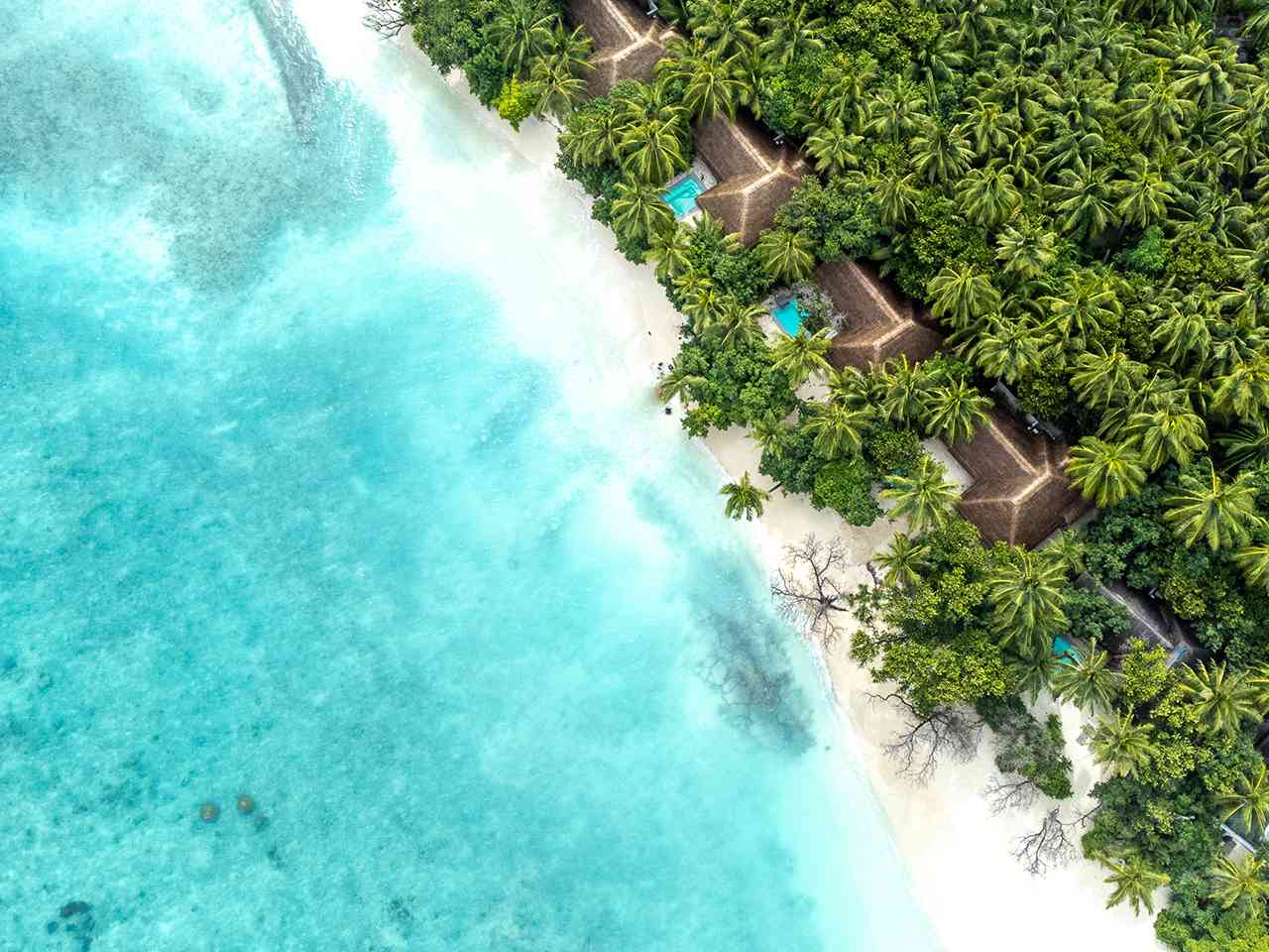 I-miti-da-sfatare-su-un-viaggio-alle-Maldive